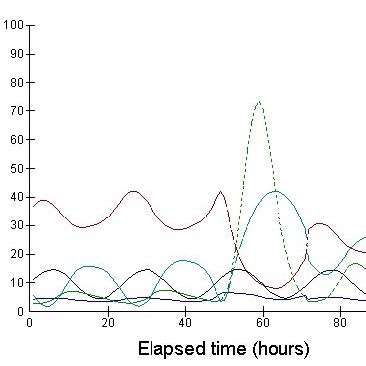 Process Optimization